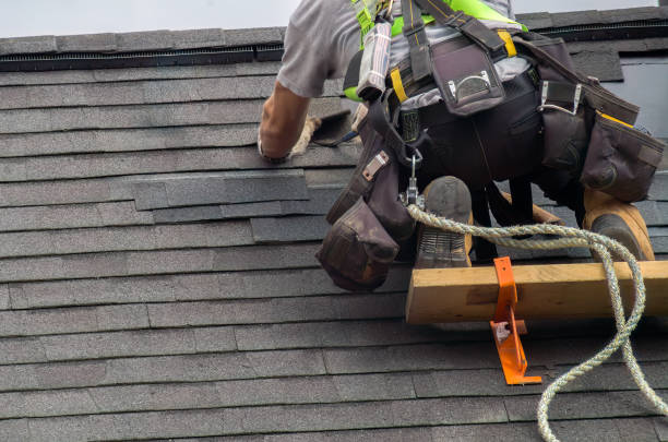 Best Storm Damage Roof Repair  in Moa, UT