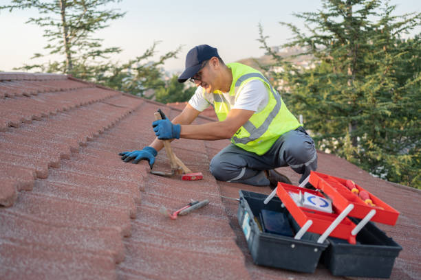 Best New Roof Installation  in Moa, UT